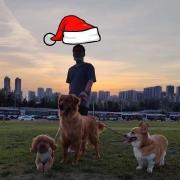 熊灿灿的 GitHub 头像